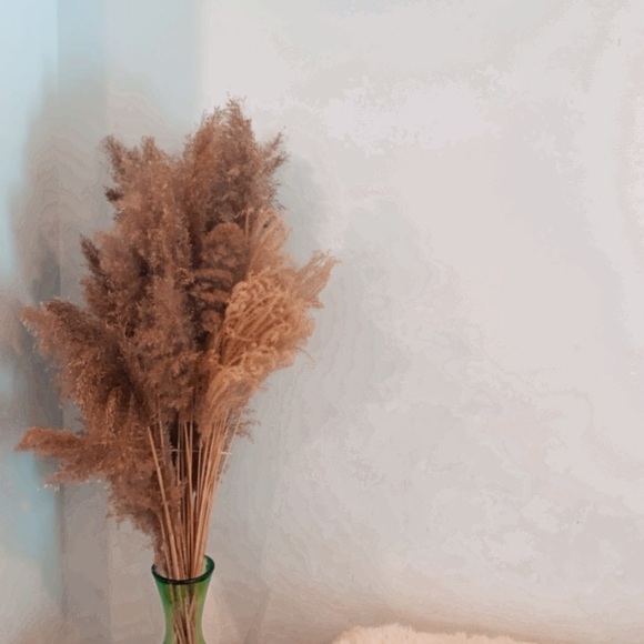 8 Piece Bundles-Dried Natural Pampas Grass - Picture 7 of 8